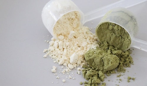 best tasting protein powder reviews